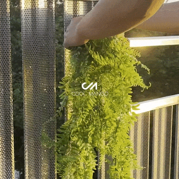 Dekorativní závěsná rostlina - Fernleaves